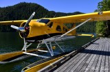 Dougs Yellow Beaver, Eagle Nook Resort, Vernon Bay, Vancouver Island, Canada  