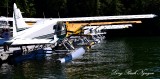   DHC-2 Beaver floatplane, Eagle Nook Resort, Canada