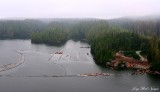 Sawmill at Equis Beach, Sechart Channel, Barkley Sound, Vancouver Island, Canada 