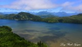 Grice Bay, Indian Island, Tofino, Vancouver Island, Canada  