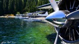 Me and the Beavers Nahmint Lake Vancouver Island Canada  