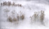 Fog over Snoqualmie River Valley Washington