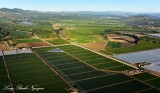 Agricultural land in Camarillo California  