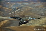 Wheat Field in the Palouse Hills, Washington State