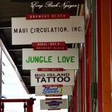 Jungle Love, Kailua-Kona, Big Island, Hawaii