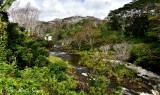 Boiling Pots, Peepee Falls, Wailuku River, Hilo, Hawaii 