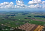 Florida Everglades Agricultural Area, Florida  