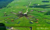 Dairy Farm in Florida