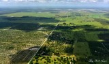 Farm on Highway 731, Venus, Florida  