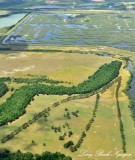Central Florida Landscape
