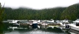 DHC-2 Beaver Floatplanes, Eaglenook Resort, Jane Bay, Vancouver Island, BC, Canada 