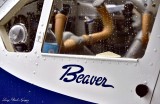 DHC-2 Beaver, Eagle Nook Resort ,Jane Bay, Vancouver Island, BC, Canada   