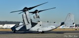 Marines V-22 Osprey VMM-166 Clay Lacy Aviation 