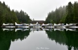 DHC-2 Beaver and Caravan Floatplanes  Eagle Nook Resort Vancouver Island Canada 
