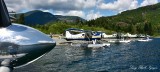 DHC-2 Beaver Floatplanes  Nahmint Lake Vancouver Island Canada 