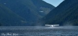 Beaver floatplanes departing Nahmint Lake Vancouver Island Canada