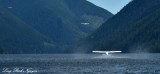 Beaver floatplanes departing Nahmint Lake Vancouver Island Canada  