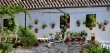 Flower Pots Ronda  