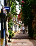 Walking the dog, Calle Aduar, Marbella, Spain