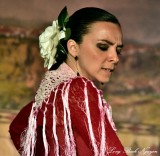 Flamenco Dancer 829  