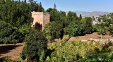 Tower at the lower garden, The Alhambra, Granada 129  
