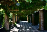 Garden in Generalife, Alhambra, Granada 160  