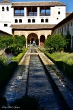 The Generalife Palace Garden, Alhambra, Granada 254  