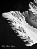 Life on the Edge of Three Fingers Mountain, Cascade Mountains, Washington 096 