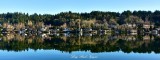 Reflection on Lake Sammamish Washington 057