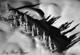 Tall Shadows in the Winter Landscape 827