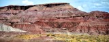 Colors of Ward Terrace Highway 89 North Cameron Arizona 368 St