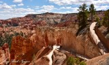 Sunset Point Bryce Canyon National Park Utah 528
