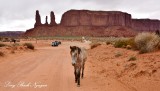 Horse at Three Sisters and John Ford's Point on Monument Valley Scenic Route, Navajo Tribal Park, Arizona 943