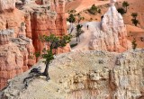 Bryce Canyon National Park Utah 729  
