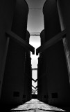 Silos and Chutes, Strain Farm, Arbuckle California 224 
