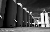 Strain Farming Company Arbuckle California 027 