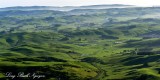 Rolling Hills of Marin County California  