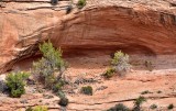 Overhang at Navajo National Monument Navajo Nation Arizona 263  