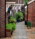 Private Garden in Blandford Forum England 006