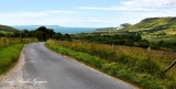 Narrow Road to Tyneham Village Dorset 102  