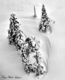 Winter Wonderland on Mount Jupiter of the Olympic Mountains 284bw  