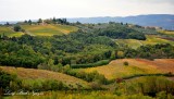 Fall Landscape around Monteriggioni Tuscany Italy 342 