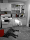 My new (old) retroish kitchen.