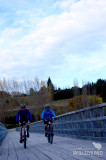 Shotover Bridge 