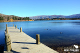 Lake Dunstan - Cromwell