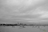 Auckland,  The City of Sails
