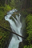 Sol Duc Falls <br> (5th Place)