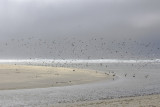 Stormy Florencia Beach