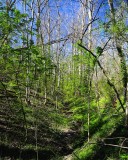 The Defenses of Boonesborough
