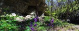 Untitled_Panorama7FFU.jpg